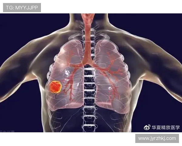 生化分析技术在精准医学与疾病早筛中的创新应用与发展前景研究 - 副本 (2)